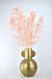Ruscus - Salmon - 70 cm - dried flowers