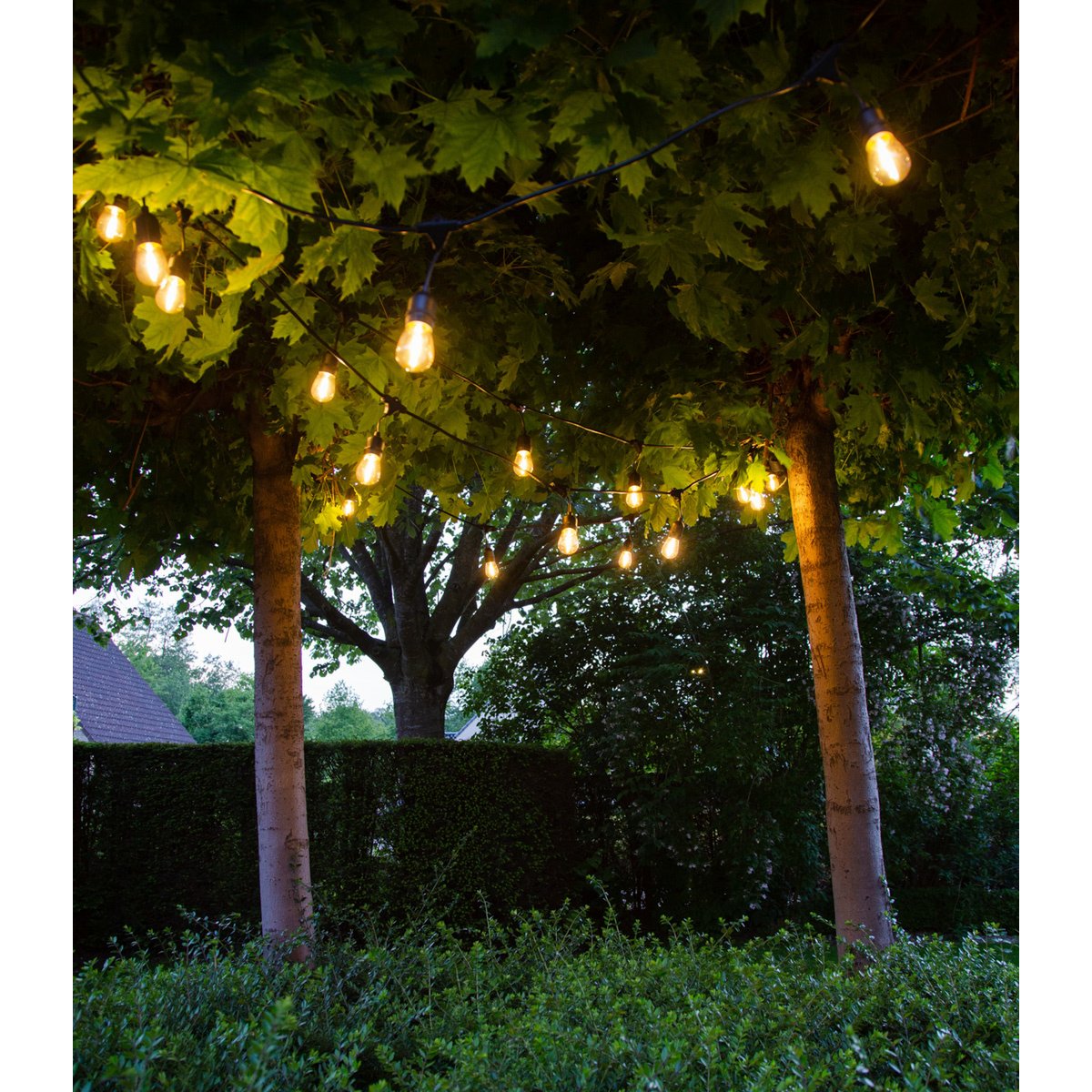 Premium Patio Lights