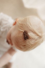Hair clips | Set - Star (value set)