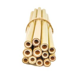 6 Bamboo Straws l Large model