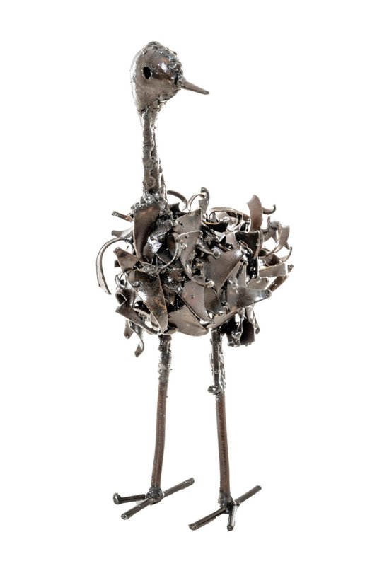 Zimba-Arts METAL COLOURFUL SMALL OSTRICH