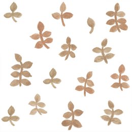Watercolor leaves