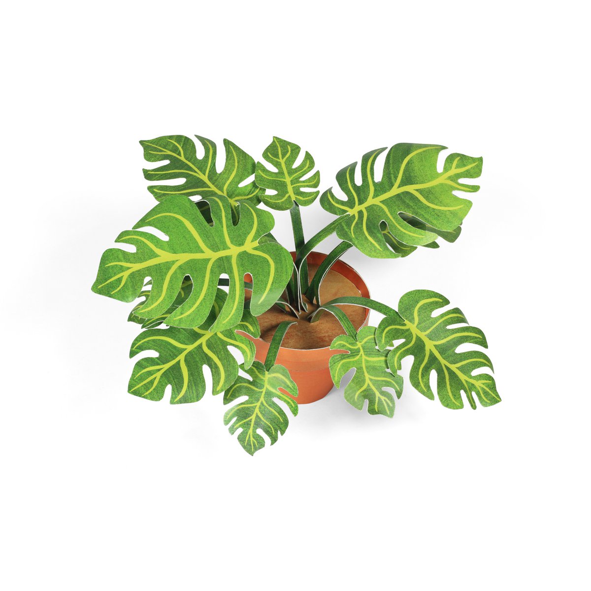 Pyszny mini zestaw do rękodzieła ogrodowego Monstera