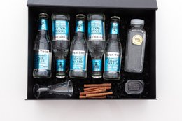Virgin Gin Tonic