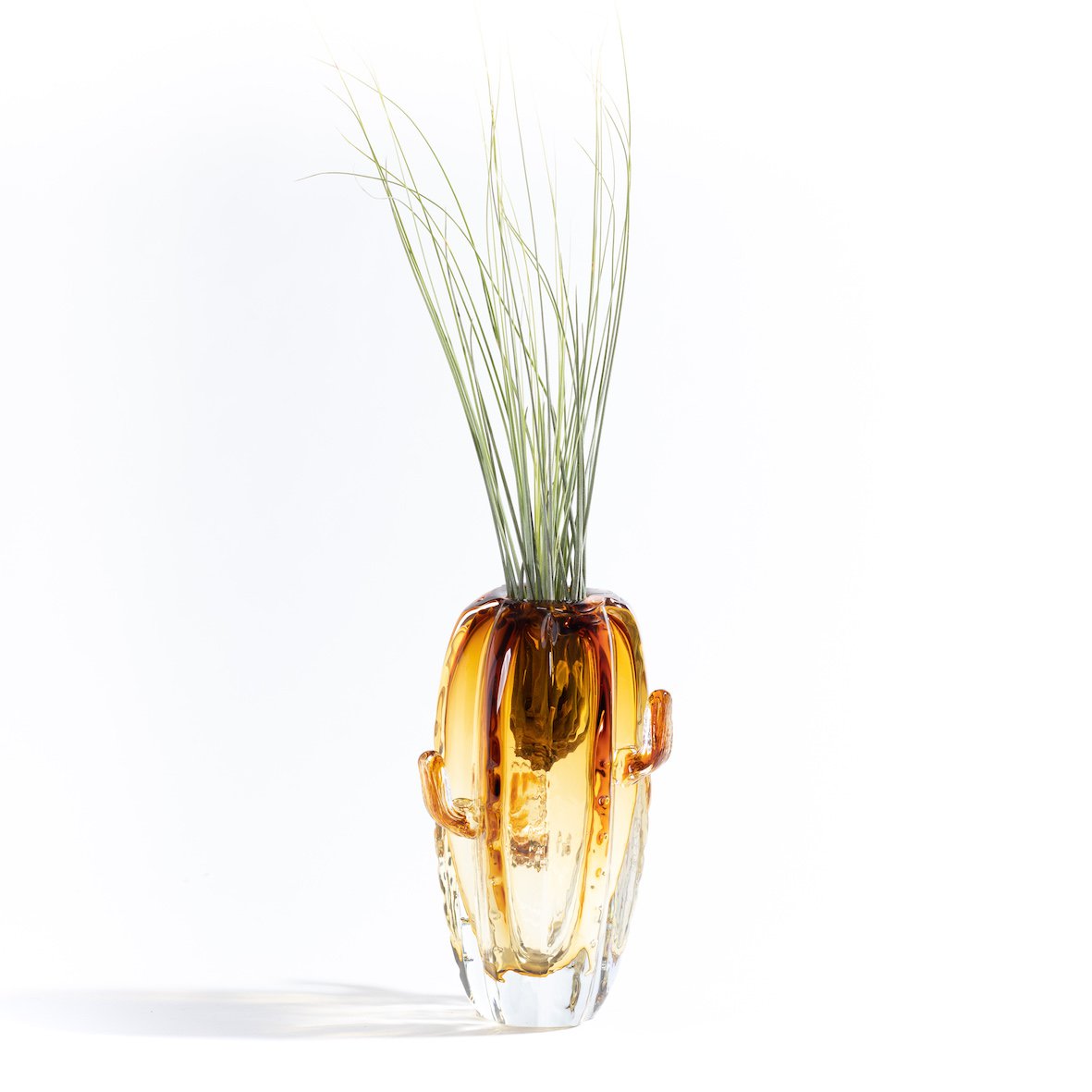 Florero grande de cactus (con planta de Tillandsia)
