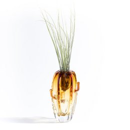 Vaso Cactus Big (con Pianta Tillandsia)