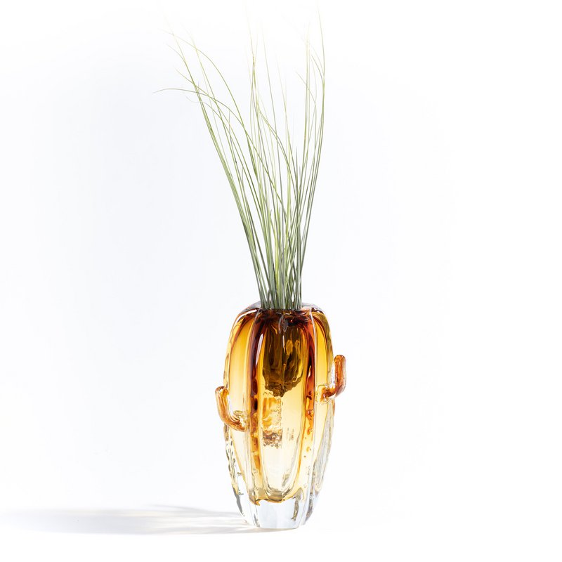 Cactus Big Vase (med Tillandsia Plant)
