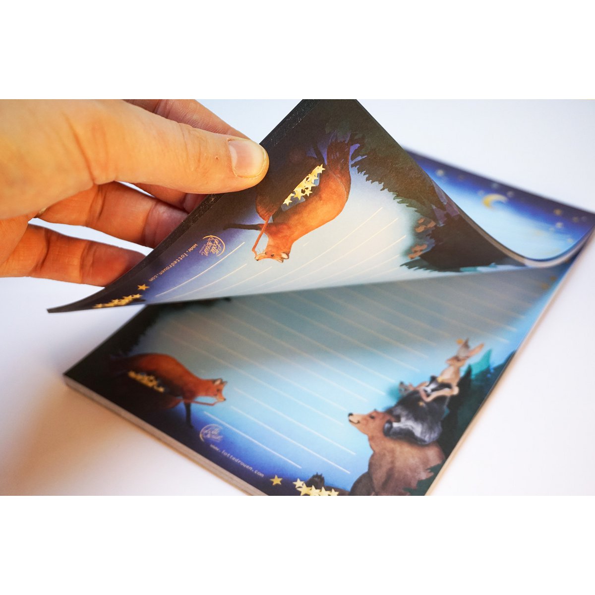 Appendi un quaderno A5 stelle