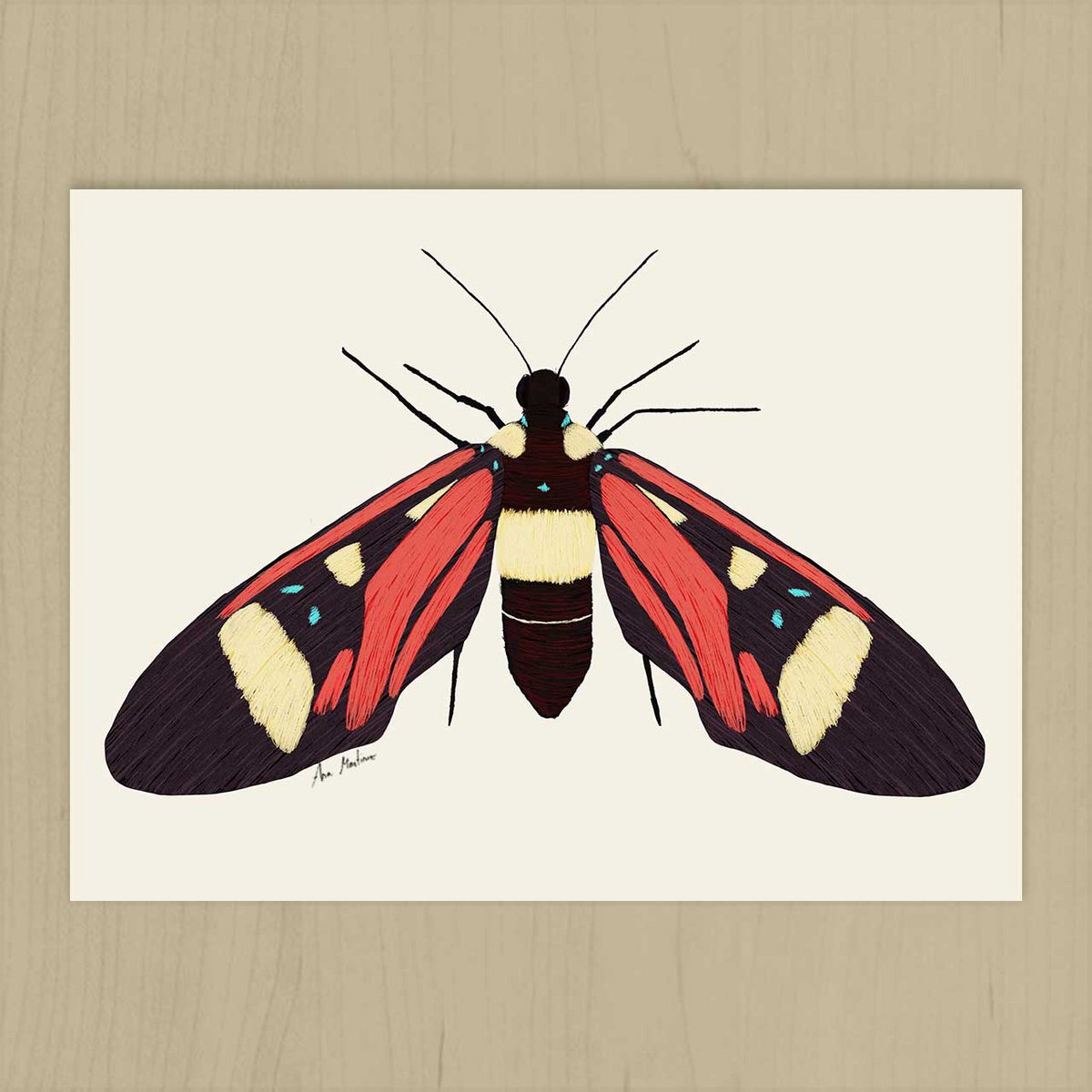 Butterfly Art Print