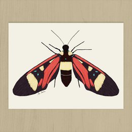 Butterfly Art Print