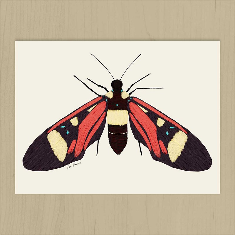Butterfly Art Print