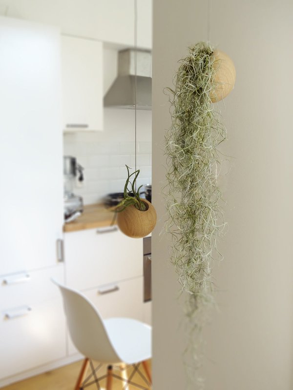Hanging Sphere - Light Oak