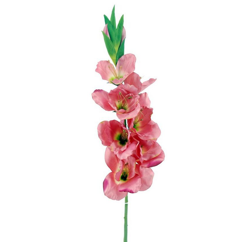 Gladiolox9 Raso Rosa 75cm(38)