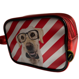 Kosmetyczka Labrador z okularami