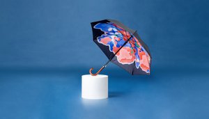 WONDERFUL CLOUD - Straight Art Umbrella