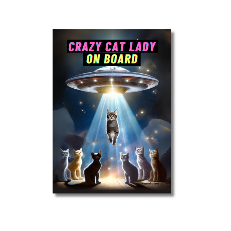 Autocollant | Autoaufkleber - Crazy Cat Dame à bord