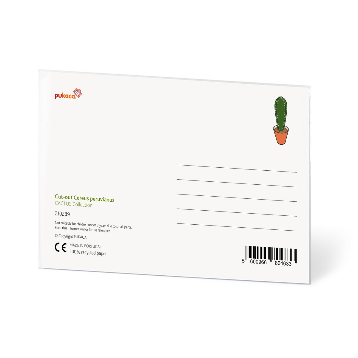 Cereus peruvianus Carte postale