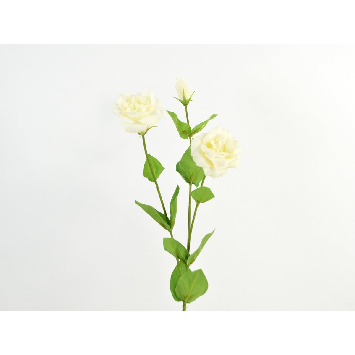 Lysianthus toque natural, 71cm, crema