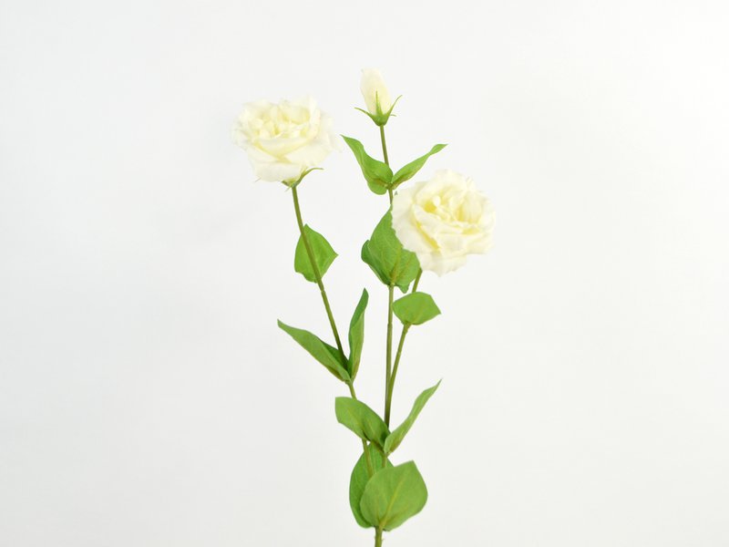 Lysianthus natural touch, 71cm, creme