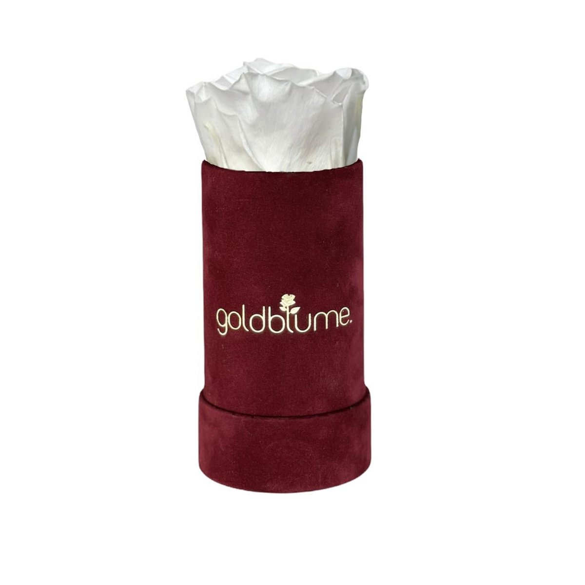 Collection Velours Bordeaux