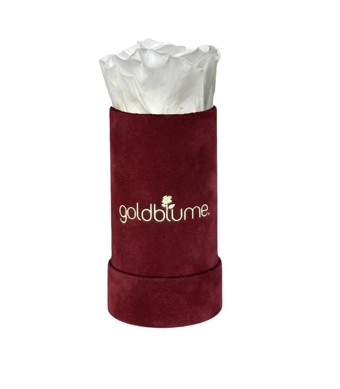Velvet Bordeaux Collection
