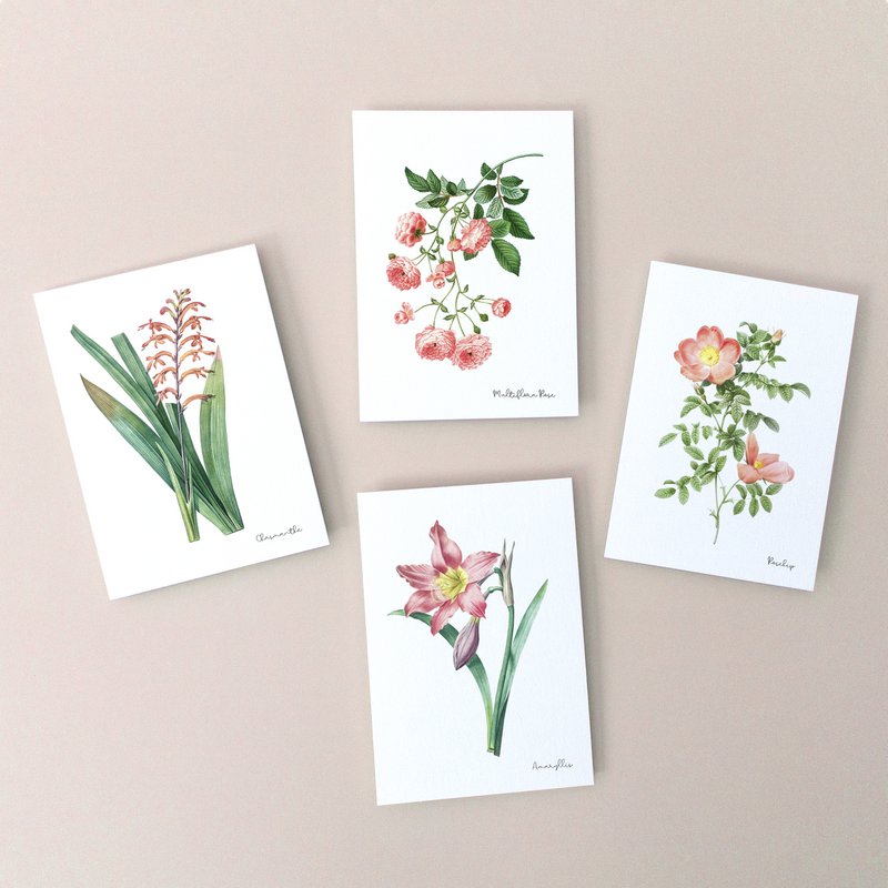 Coral Pack - Solo cartoline fatte a mano - Vintage botanico