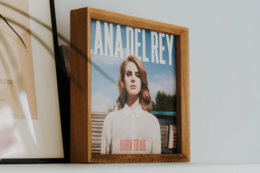 Oak Vinyl Album -Rahmen für Display, vielseitiges Musikdekor und Geschenk für Vinyl -Fans