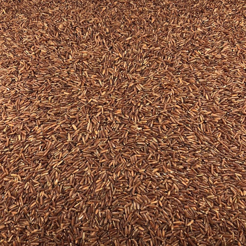 Organic Red Rice in Bulk
