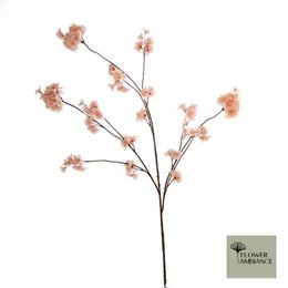 Prunus Malaga spray pink 126cm