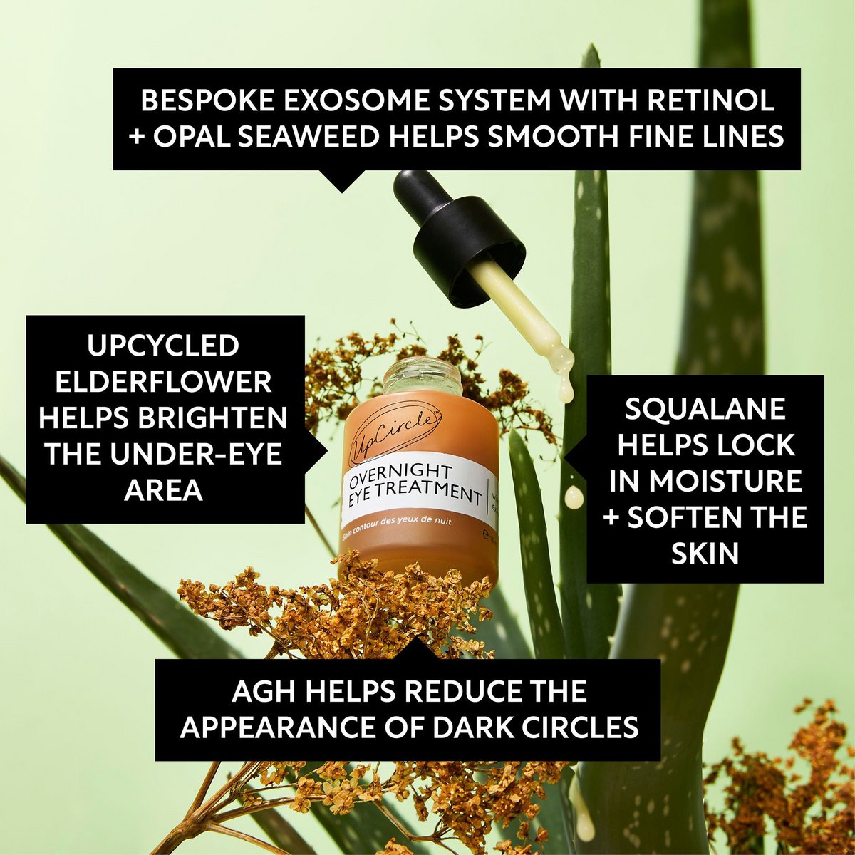 Pre-order Vegan Overnight Eye Treatment - Retinol Exosomes + Seaweed