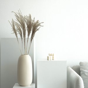Feather grass I Miscanthus - the reserved decoration