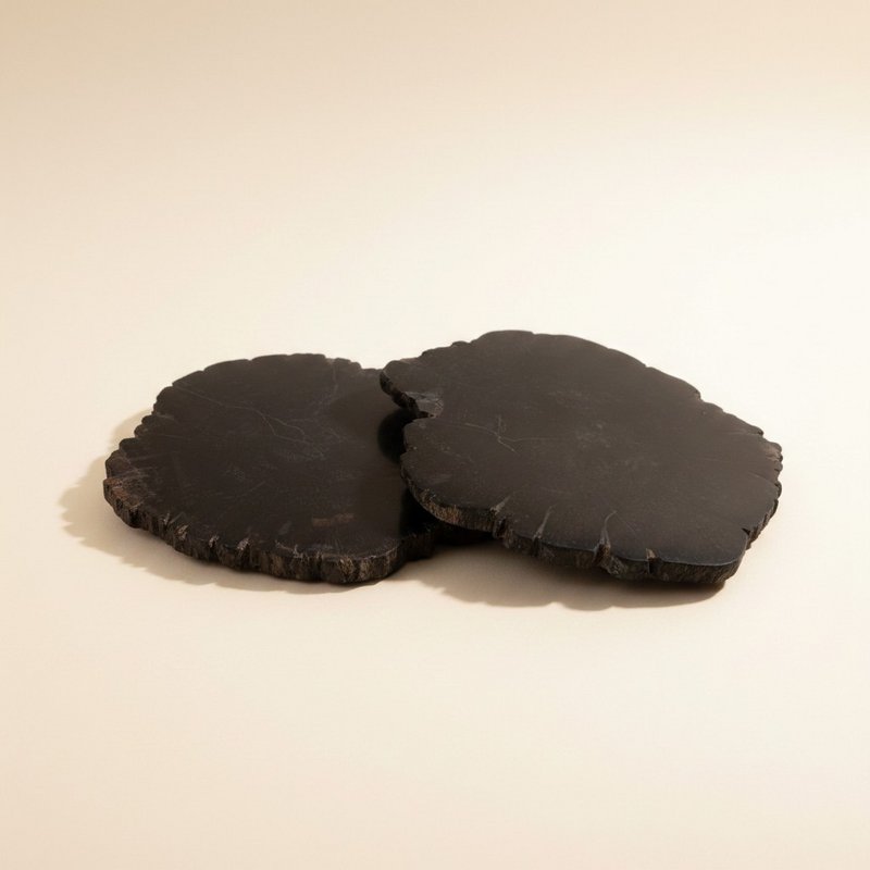 Organic Petrified Wood Coaster
