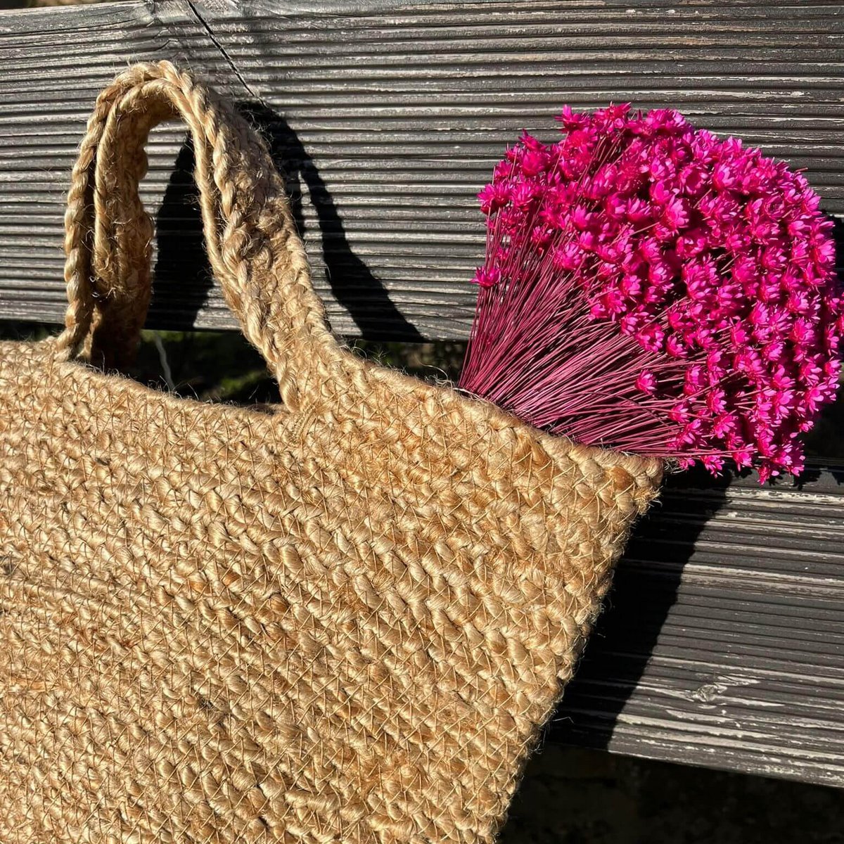 Glixia in diversity: Colorful dried flowers for creative decoration