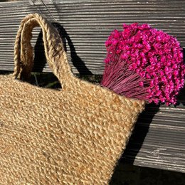 Glixia in diversity: Colorful dried flowers for creative decoration