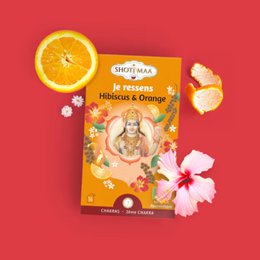 Gamma Chakra di tisane biologiche Je Ressens - Sapori speziati e piccanti - Risveglia i sensi - Ispira creatività, immaginazione e passione