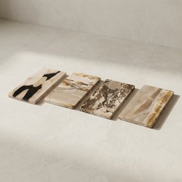 Tablett aus versteinertem Holz – 20 × 10 cm | Gemischte Auswahl