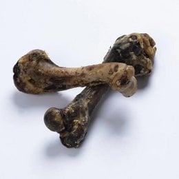 Brown ham bone chew toy, natural bone texture, knobbed ends, pet treat