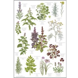 BIO THEEDOEK - KRUIDEN