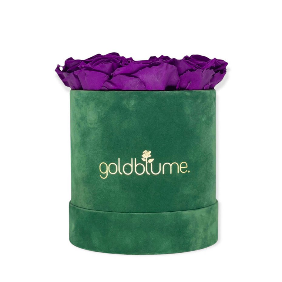 Velvet Green Collection