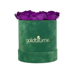 Velvet Green Collection