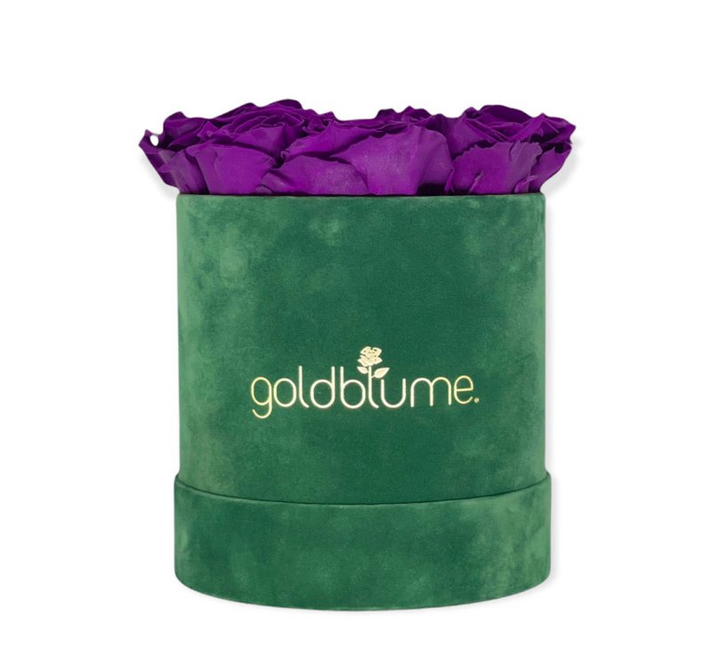 Velvet Green Collection