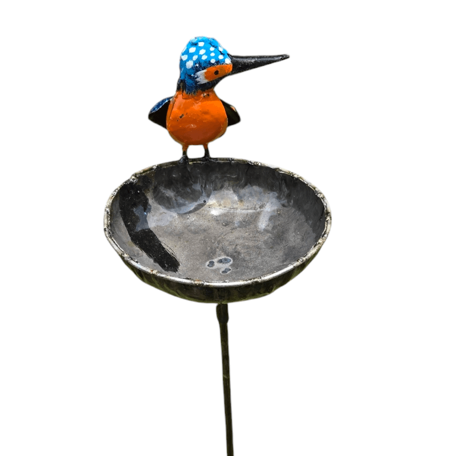 Metalen baby kingfisher kom op stok