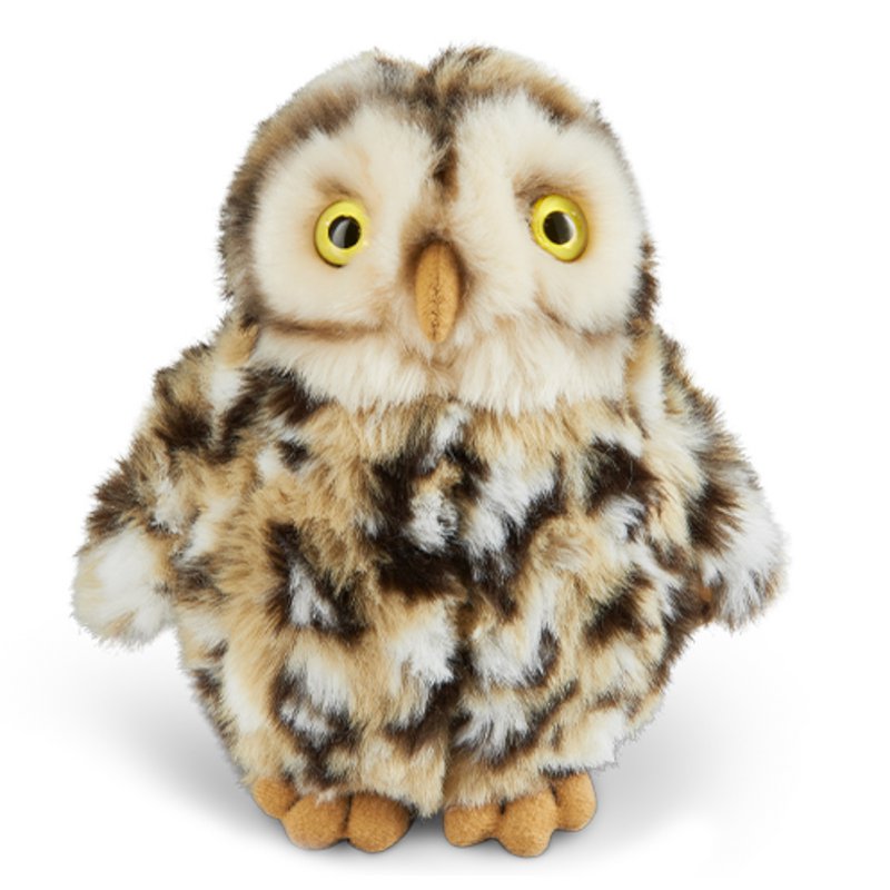 OWL 16cm
