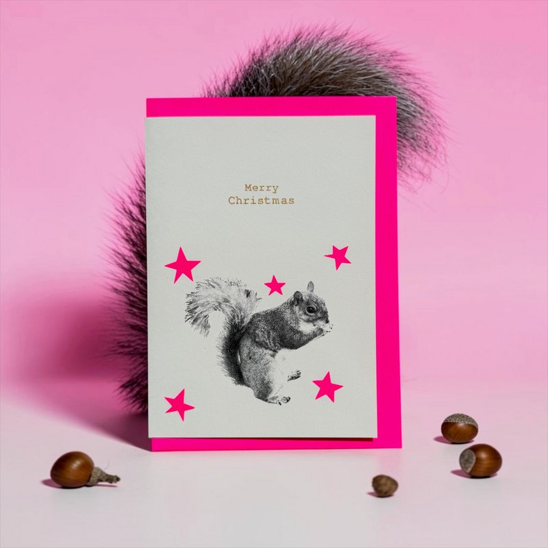 Squirrel Stars pink