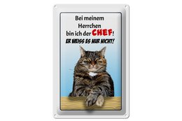 Tin sign saying 20x30cm cat with my master boss