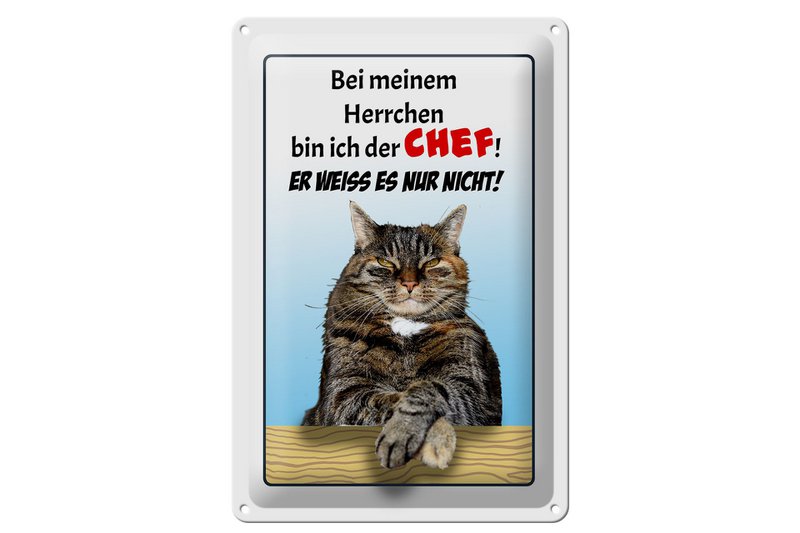 Tin sign saying 20x30cm cat with my master boss