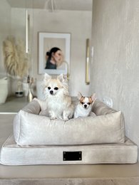 "Nero" tana per un cane e un gatto del marchio di cuccioli soffici, colore rosa sporco, materiale velluto, fatto a mano!