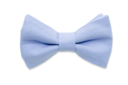 Pajarita Azul Claro