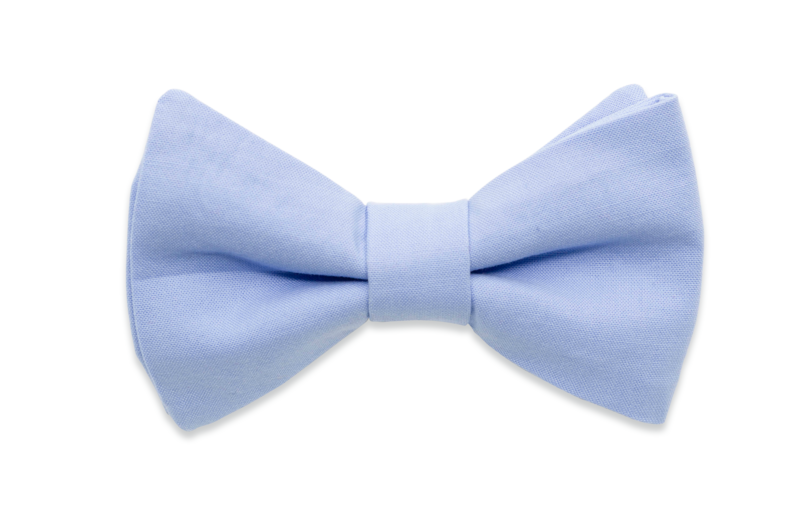 Fliege Hellblau