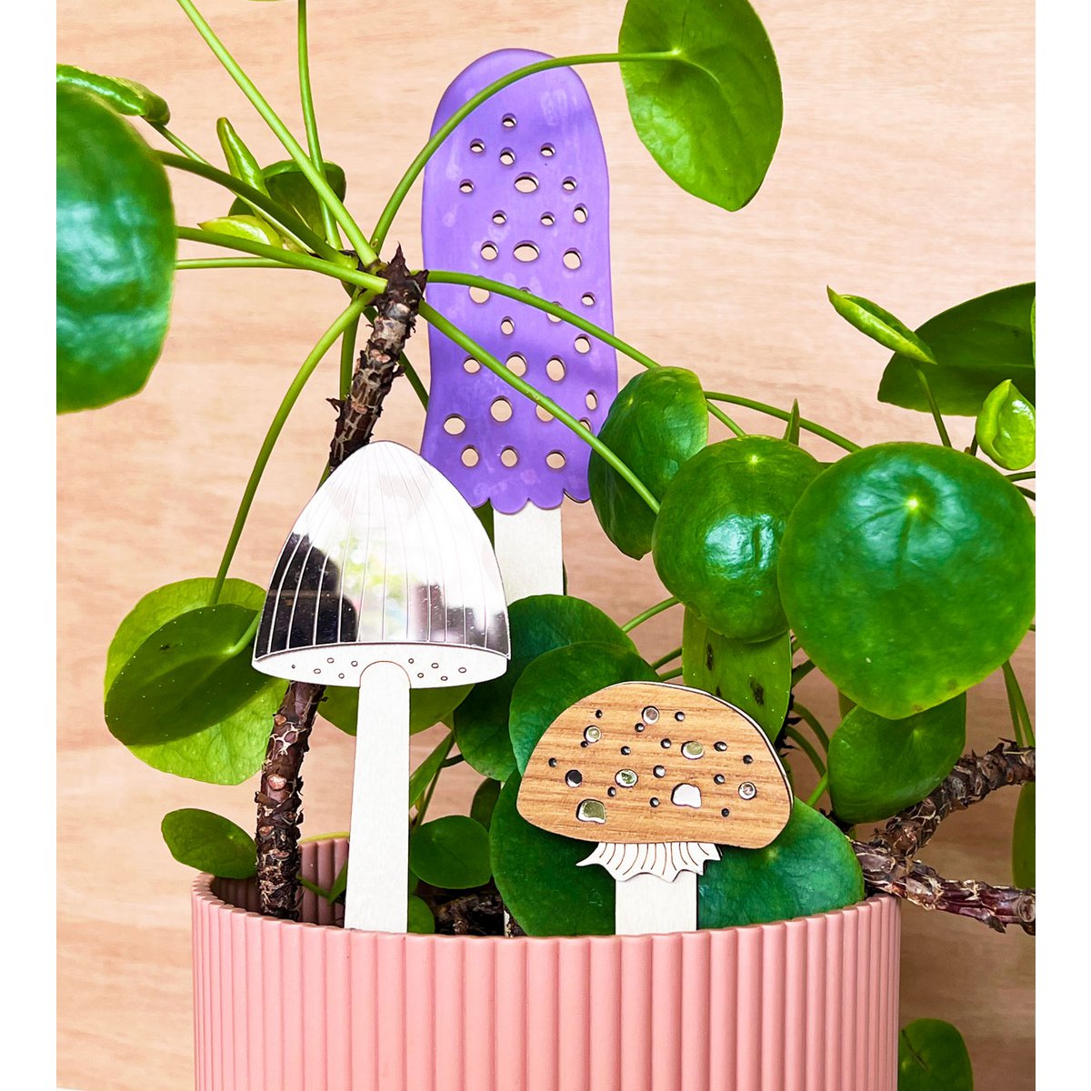Fungi Plantstands set of 3